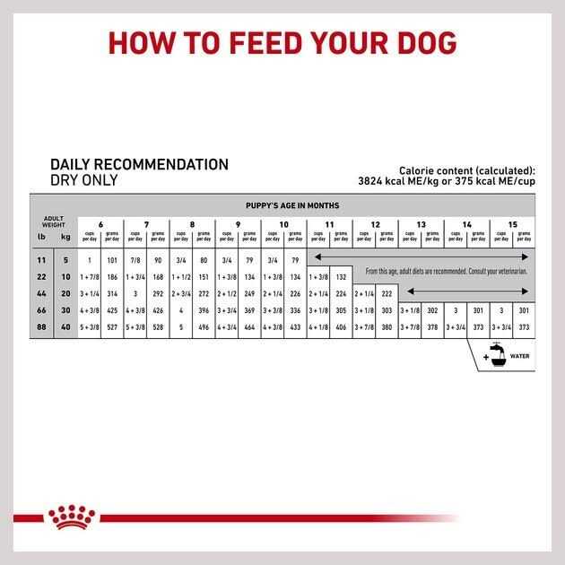 Royal Canin Hydrolyzed Protein Puppy Dry Dog Food Bag - Nail Gallerys