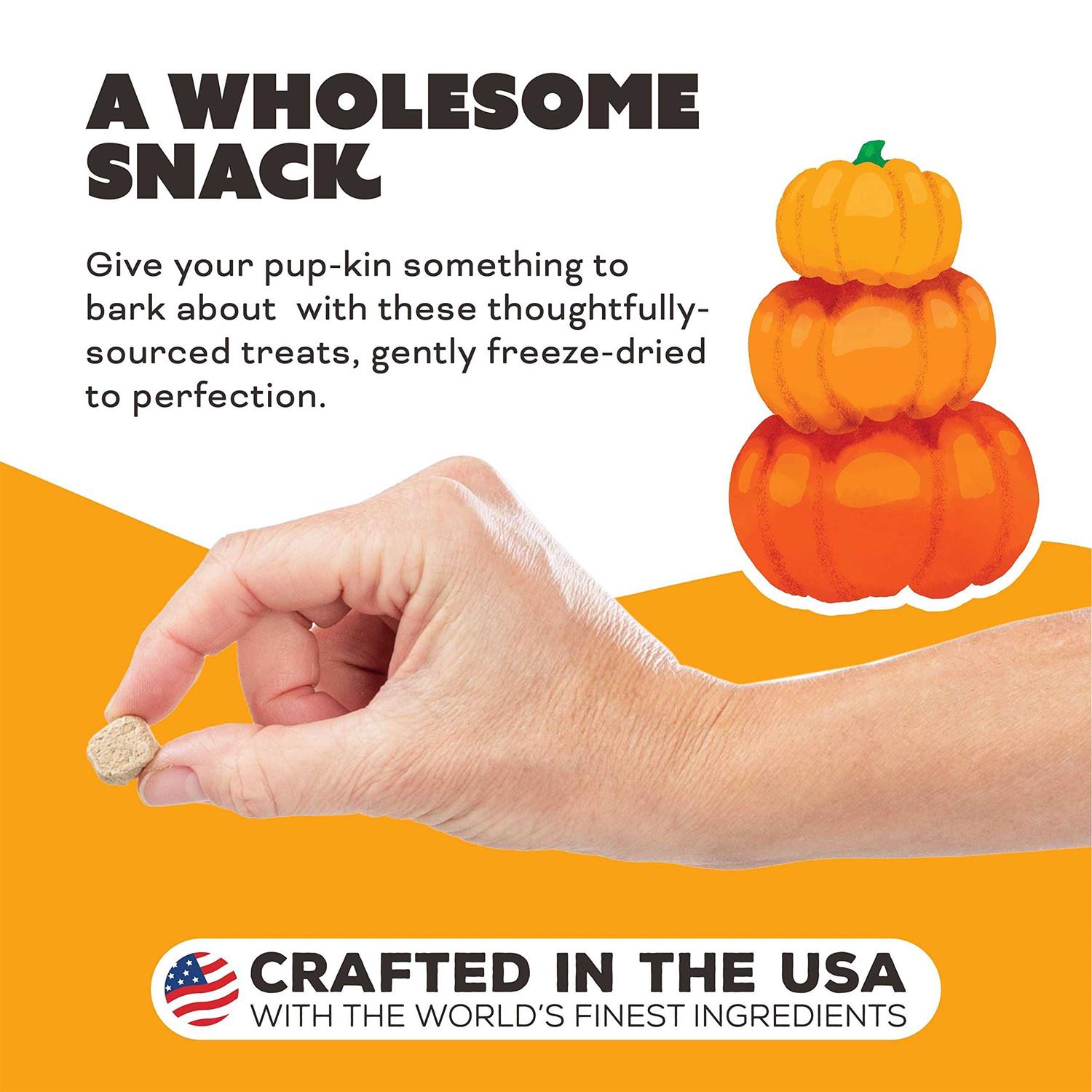 Primal Pumpkin for My Pumpkin Chicken with Goat Milk Freeze-Dried Dog Treats - Nail Gallerys