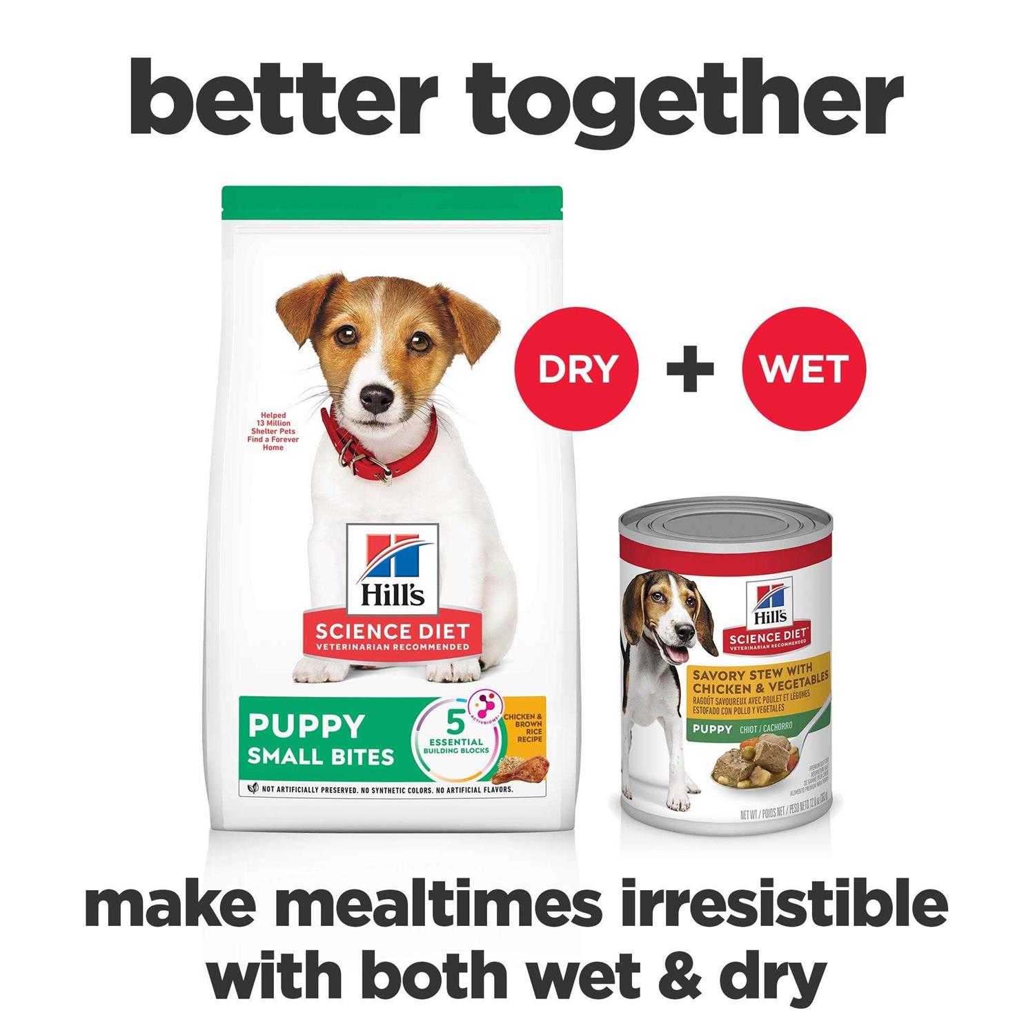 Hill’s Science Diet Puppy Small Bites Chicken Meal & Barley Recipe Dry Dog Food - Nail Gallerys