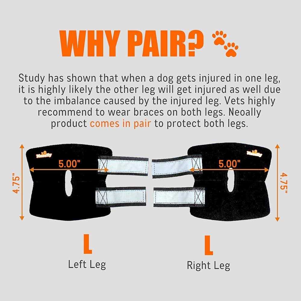NeoAlly Dog Rear Leg Brace Canine Hock Ankle Support with Safety Reflective Straps for Hind Leg Wounds Heal and and - Nail Gallerys