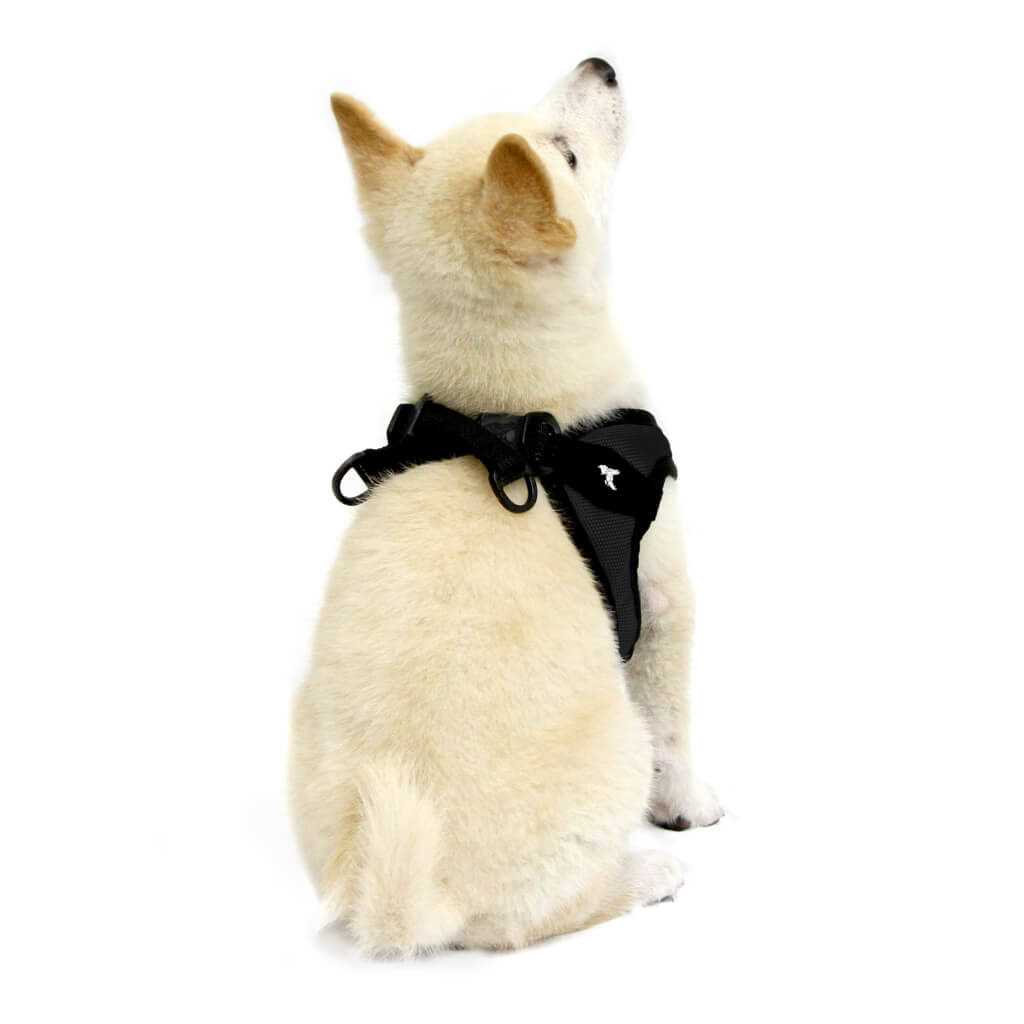 Gooby Escape Free Easy Fit Dog Harness - Nail Gallerys
