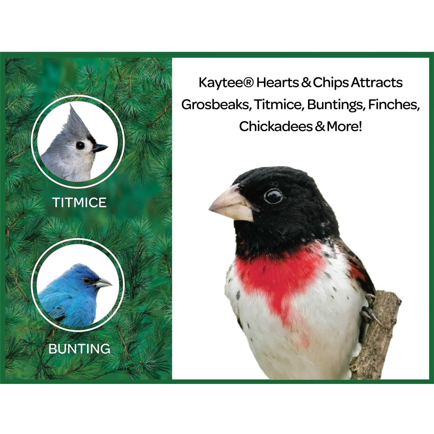 Kaytee Sunflower Hearts & Chips Wild Bird Food - Nail Gallerys