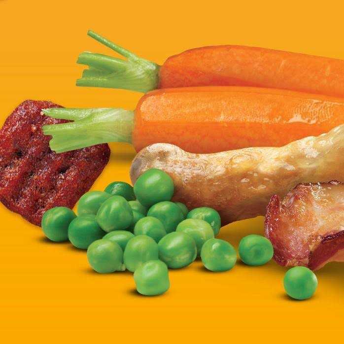 Pedigree with Bacon Flavored Bites Chicken Adult Dry Dog Food - Nail Gallerys