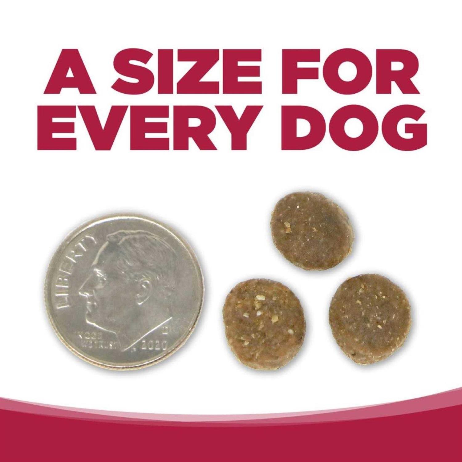 NutriSource Grain-Free Seafood Select Dry Dog Food - Nail Gallerys