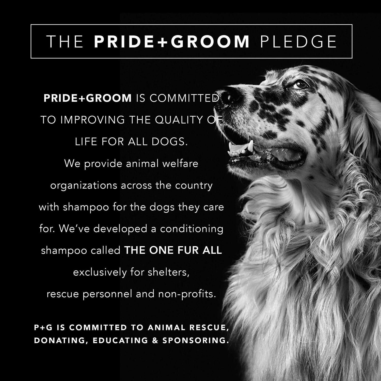 PRIDE+GROOM Dog Conditioner The Final Coat - Nail Gallerys