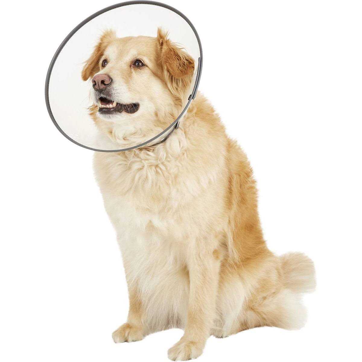 Dogswell Remedy Recovery E-Collar - Nail Gallerys