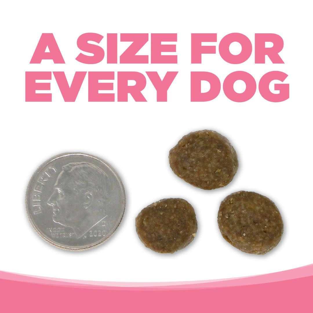 PureVita Dog Food Grain Free Salmon - Nail Gallerys