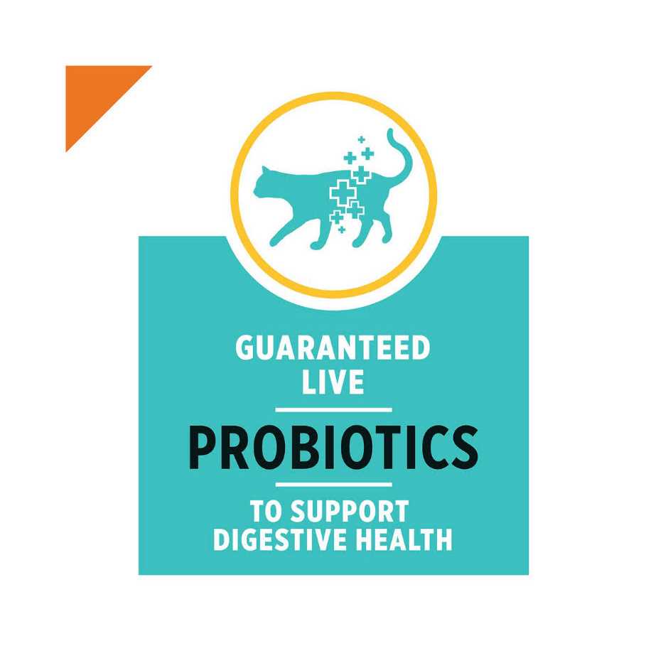 Purina Pro Plan Savor Adult Salmon & Rice Formula Cat Food - Nail Gallerys