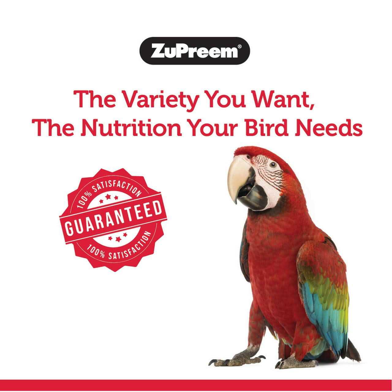Zupreem FruitBlend Flavor Bird Food Large - Nail Gallerys