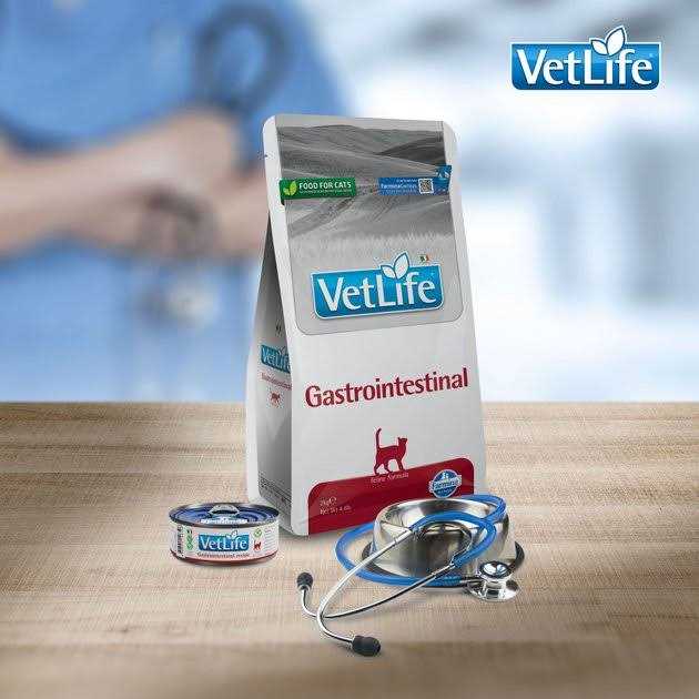 Farmina Vet Life feline Gastrointestinal - Nail Gallerys