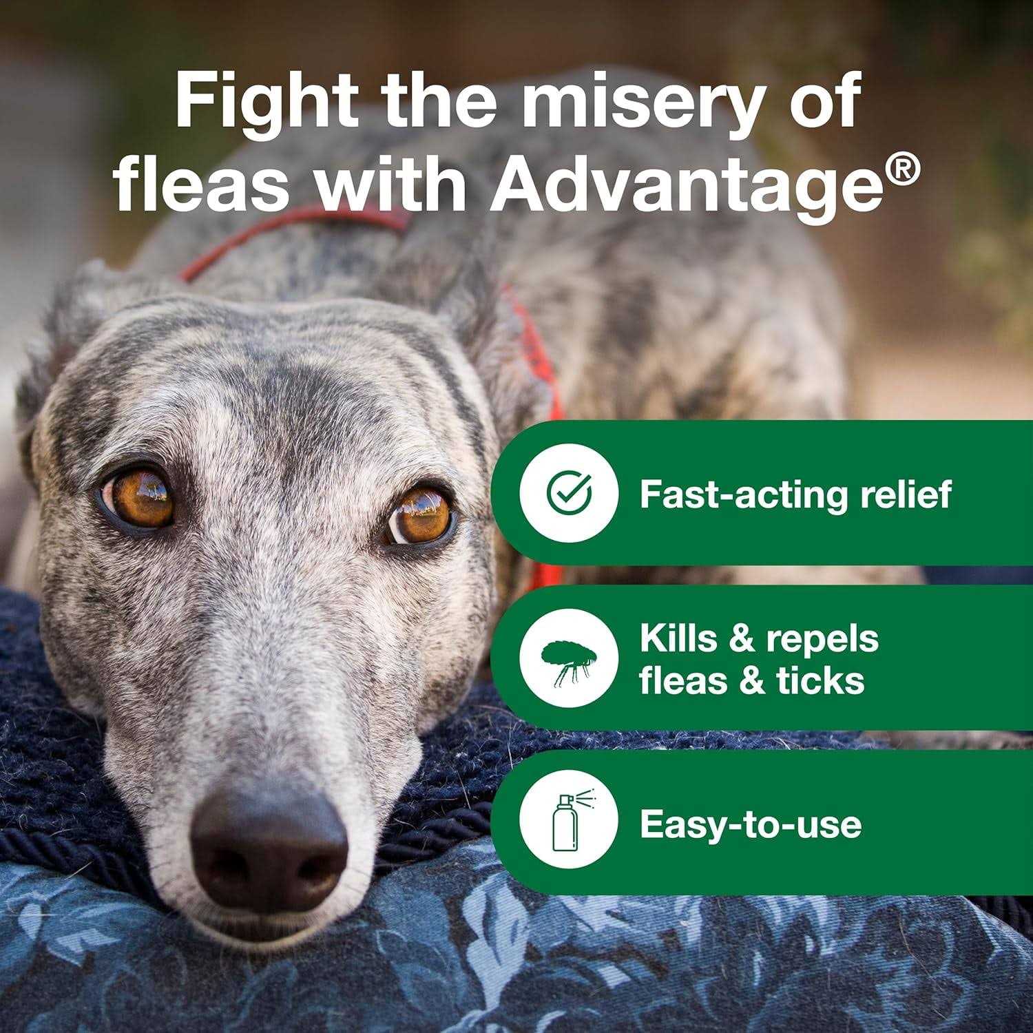 Advantage Flea & Tick Treatment Spray for Dogs - Nail Gallerys