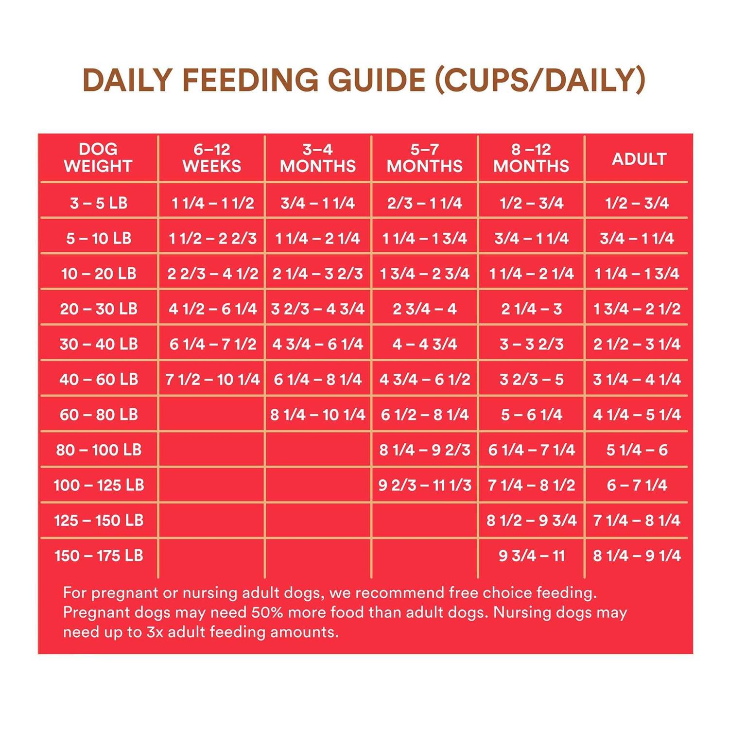 WholeHearted All Life Stages Beef and Brown Rice Recipe Dry Dog Food - Nail Gallerys