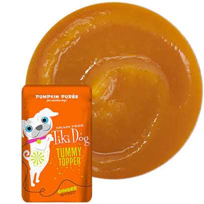 Tiki Dog Tummy Topper Pumpkin Ginger - Nail Gallerys
