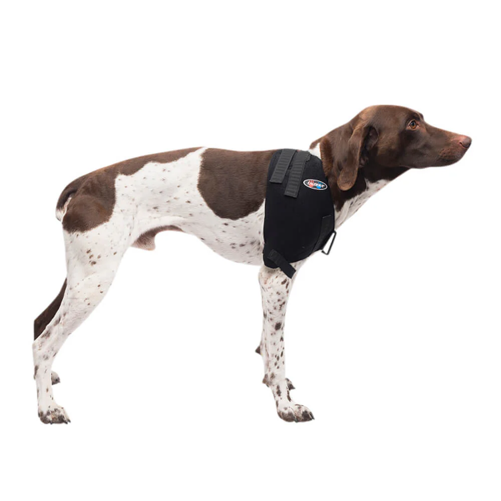 Caldera Pet Therapy Shoulder Wrap with Therapy Gel - Nail Gallerys