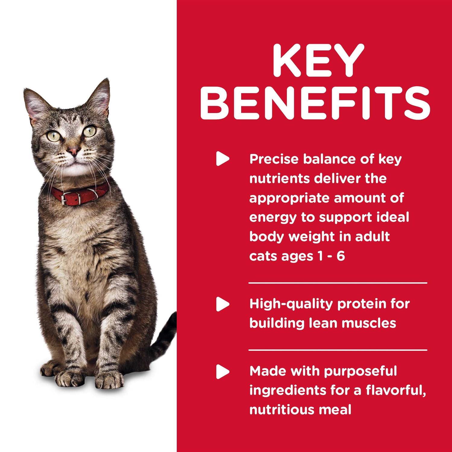 Hill’s Science Diet Adult Tender Chicken Dinner Canned Cat Food - Nail Gallerys