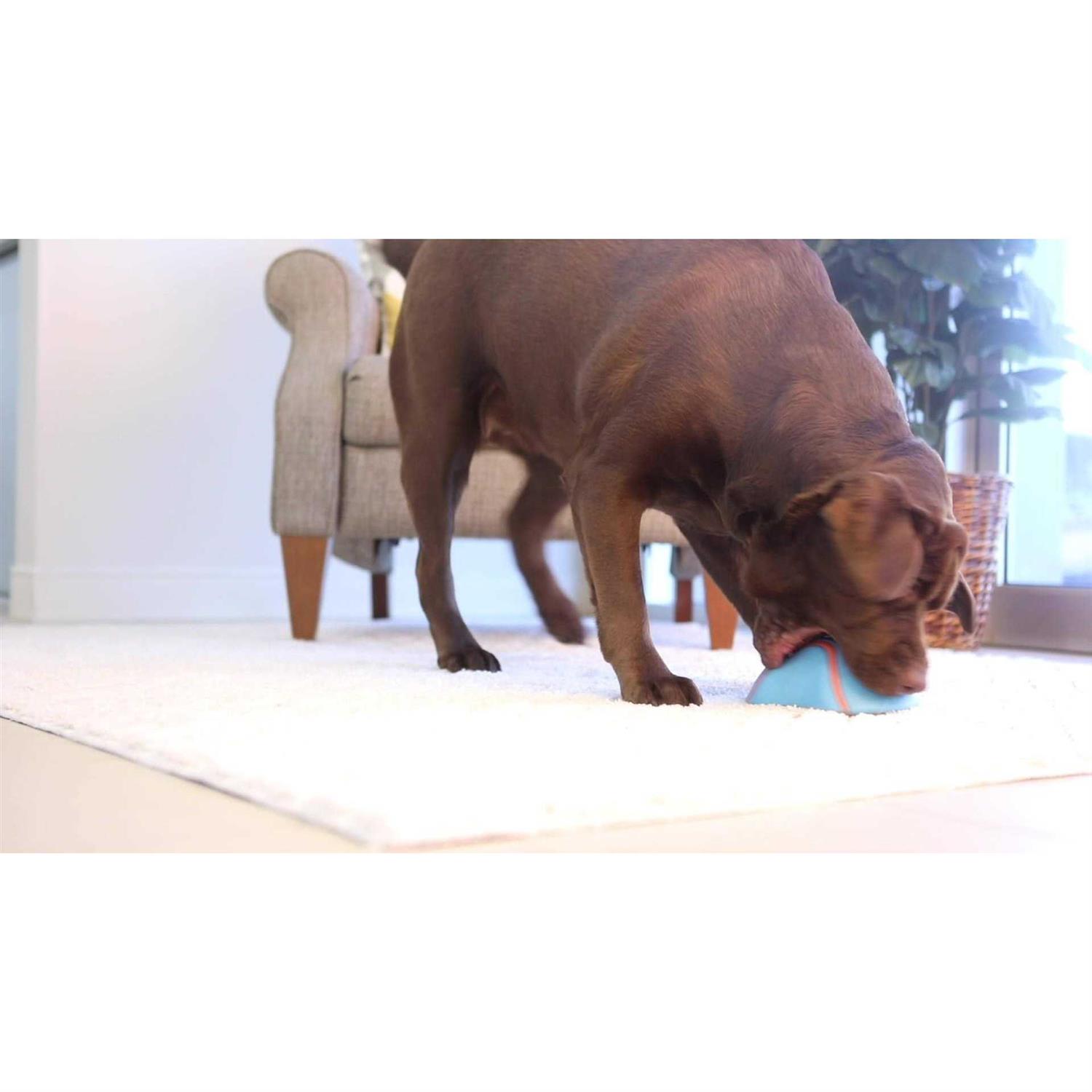 Chuckit! Indoor Super Slider Dog Toy - Nail Gallerys
