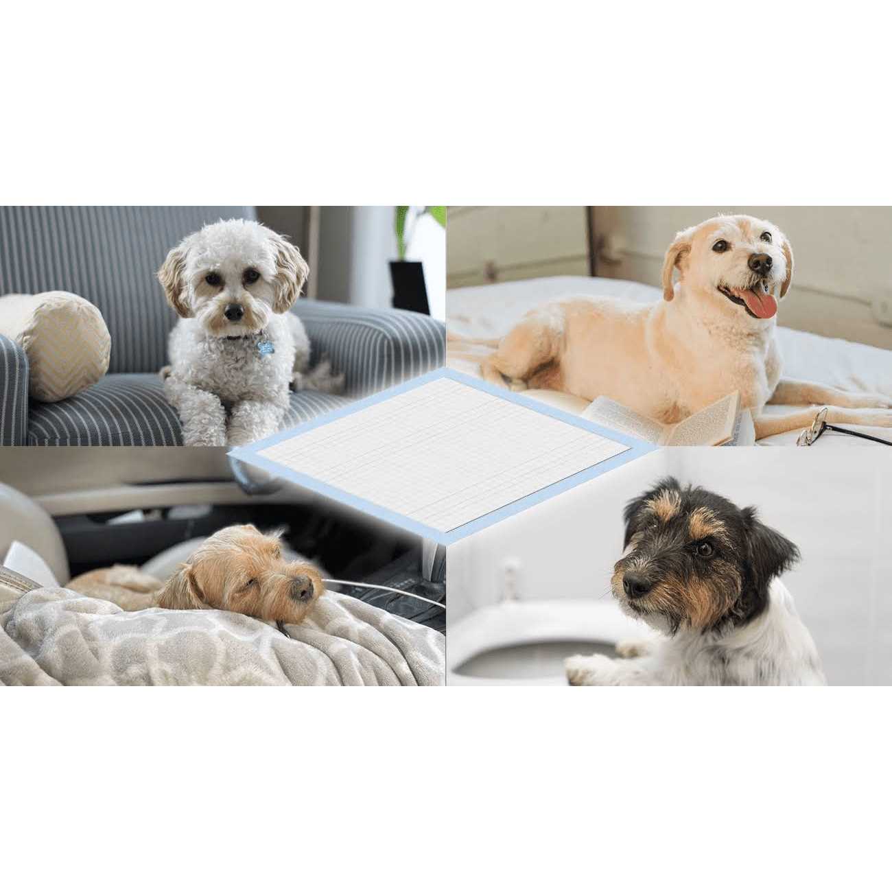 Honey Care All-Absorb Dog and Puppy Training Pads, Ultra Absorbent and Odor Eliminating - Nail Gallerys