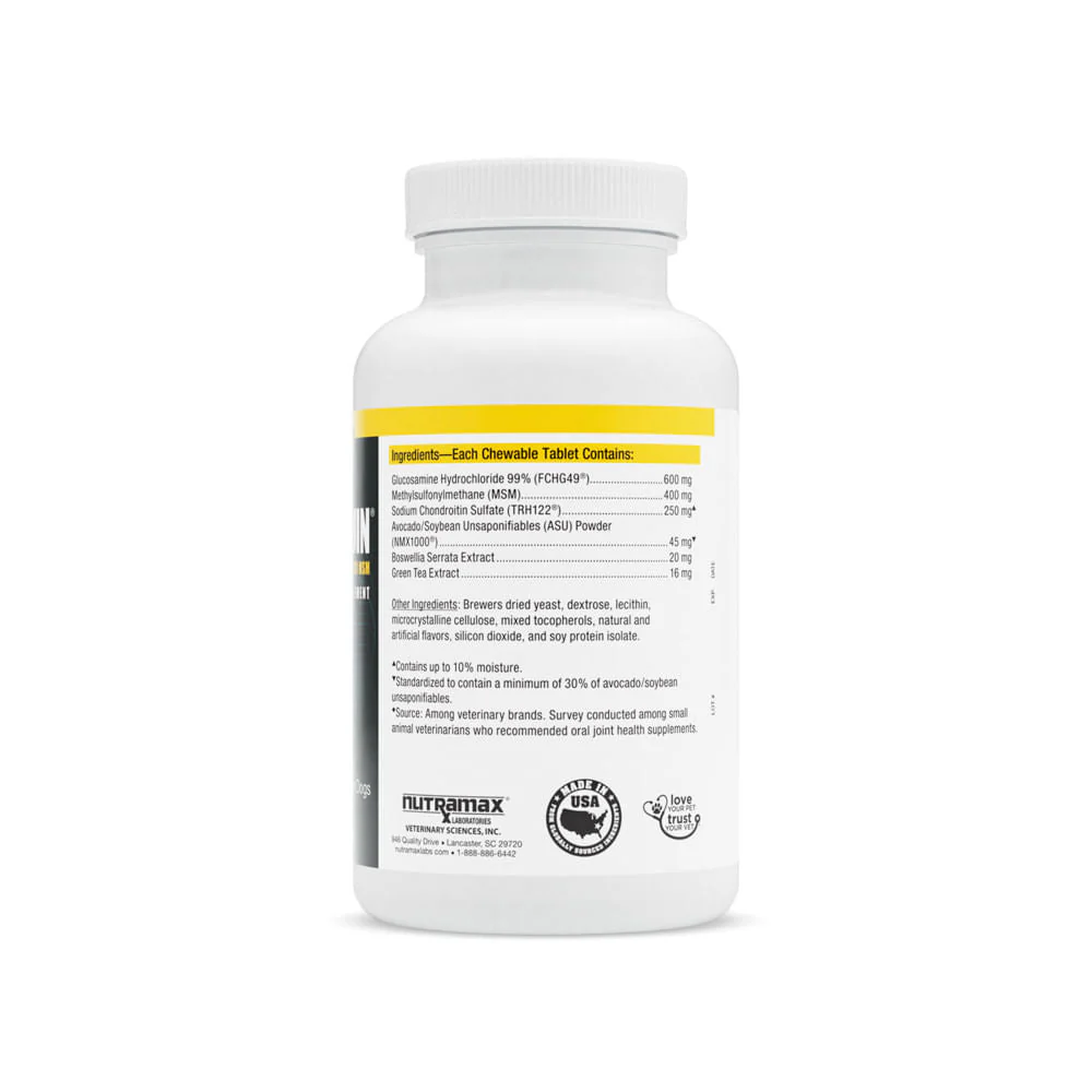 Nutramax Dasuquin for Dogs, Joint Health Supplement, Contains Glucosamine, Plus Chondroitin, ASU, MSM and More, Supports Healthy Joints, Chewable Tablets - Nail Gallerys