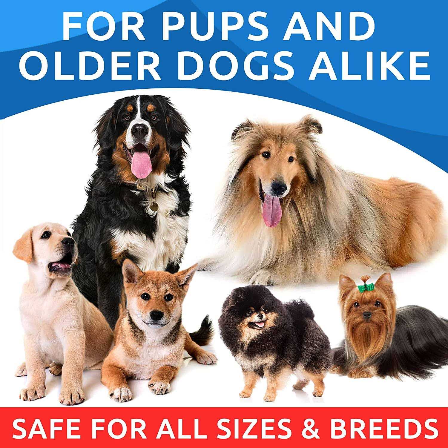 Bark&Spark Omega Dogs Oil - Nail Gallerys