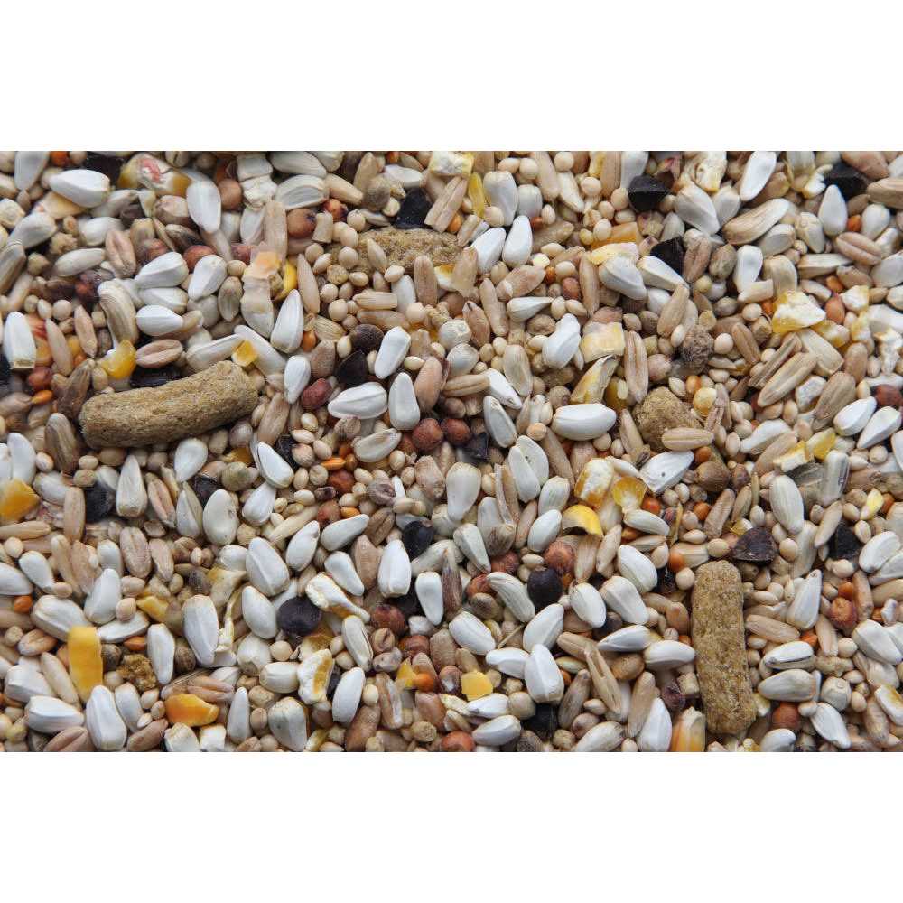 Higgins Australian Hookbill Bird Food - Nail Gallerys