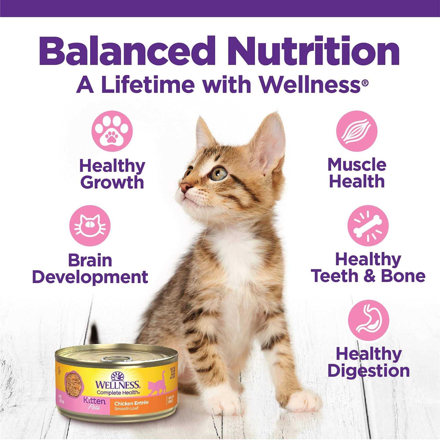 Wellness Complete Health Kitten Whitefish & Tuna Wet Cat Food - Nail Gallerys