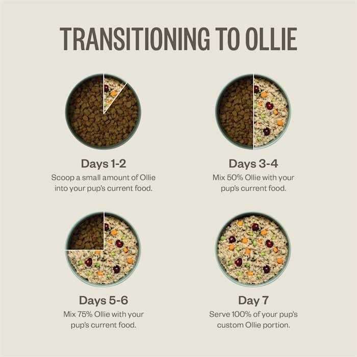 Ollie Chicken Dish with Carrots Fresh Frozen Dog Food - Nail Gallerys