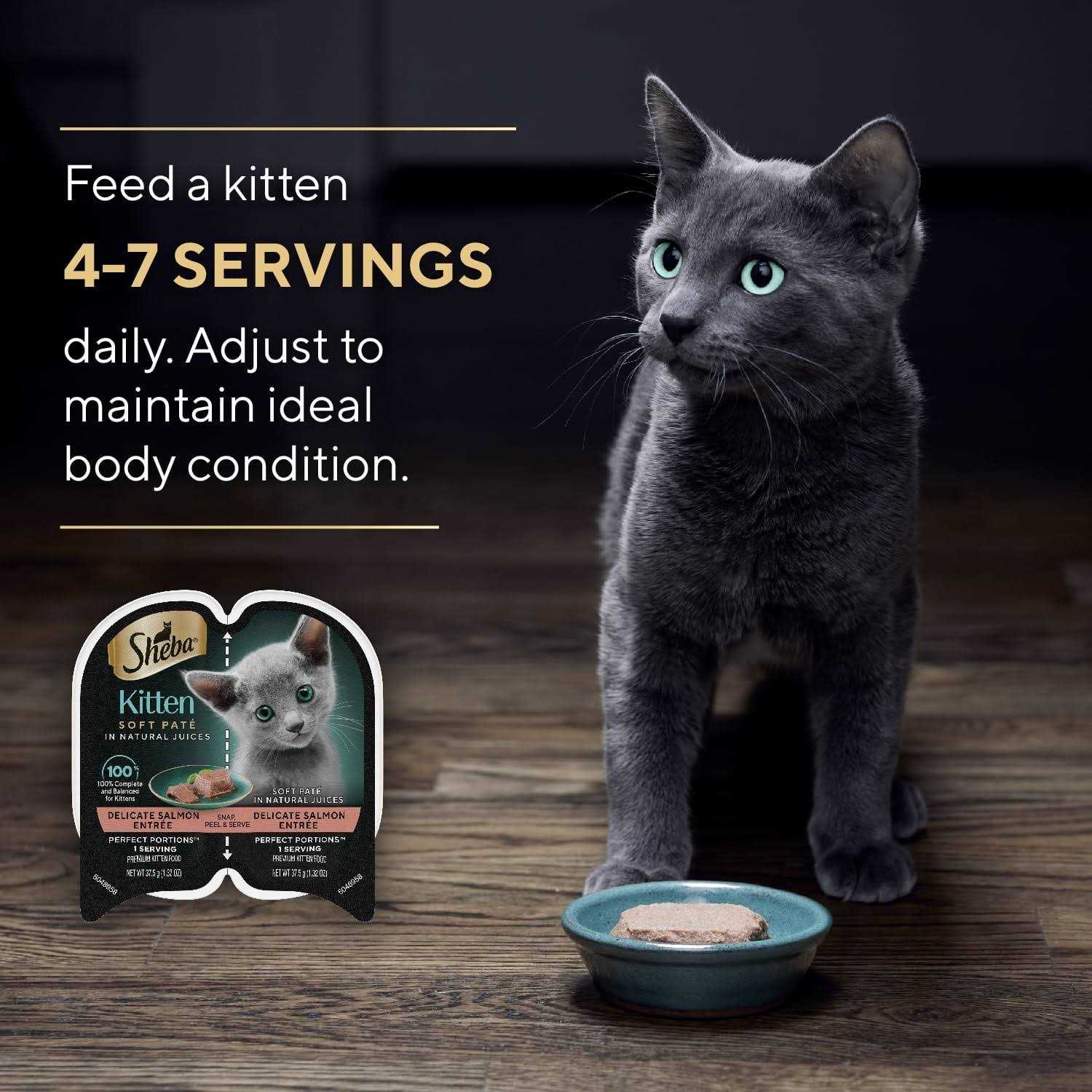 Sheba Perfect Portions Wet Kitten Food Pate - Nail Gallerys