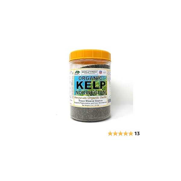 Dogzymes Organic Norwegian Kelp with Organic Garlic - Nail Gallerys
