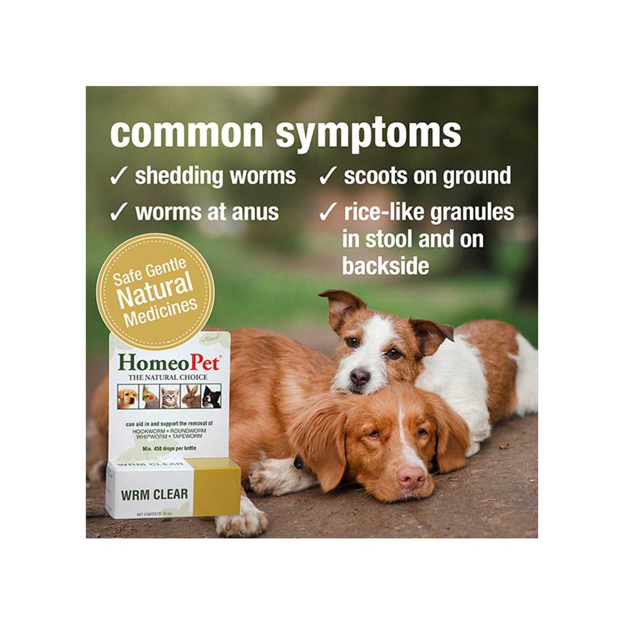 HomeoPet WRM Clear - Nail Gallerys