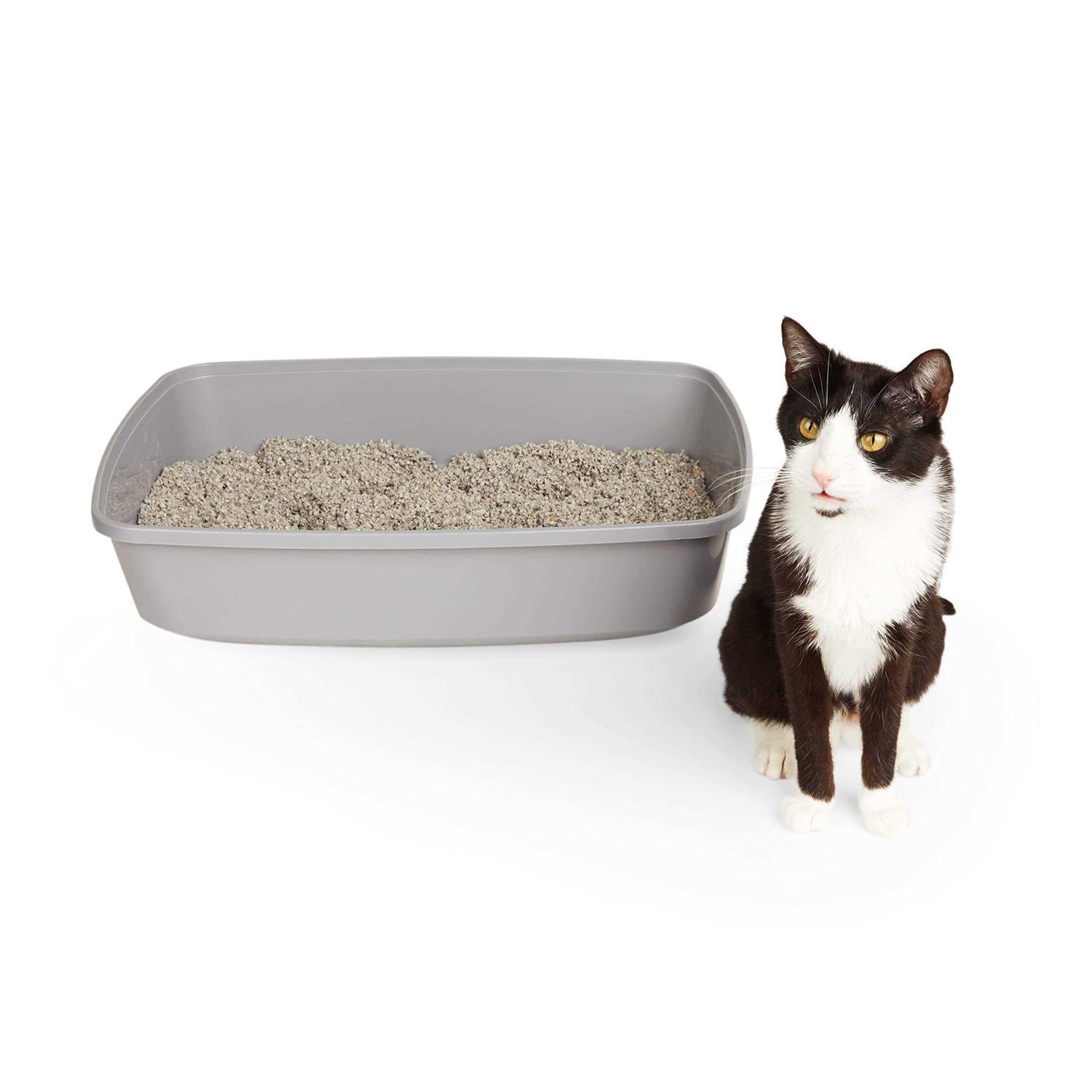 So Phresh Open Cat Litter Box - Nail Gallerys