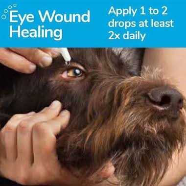 Oculenis Ocular Repair Gel for Dogs & Cats - Nail Gallerys
