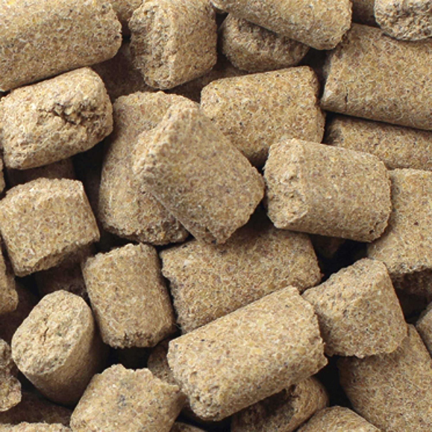 Mazuri Rat & Mouse Diet - Nail Gallerys