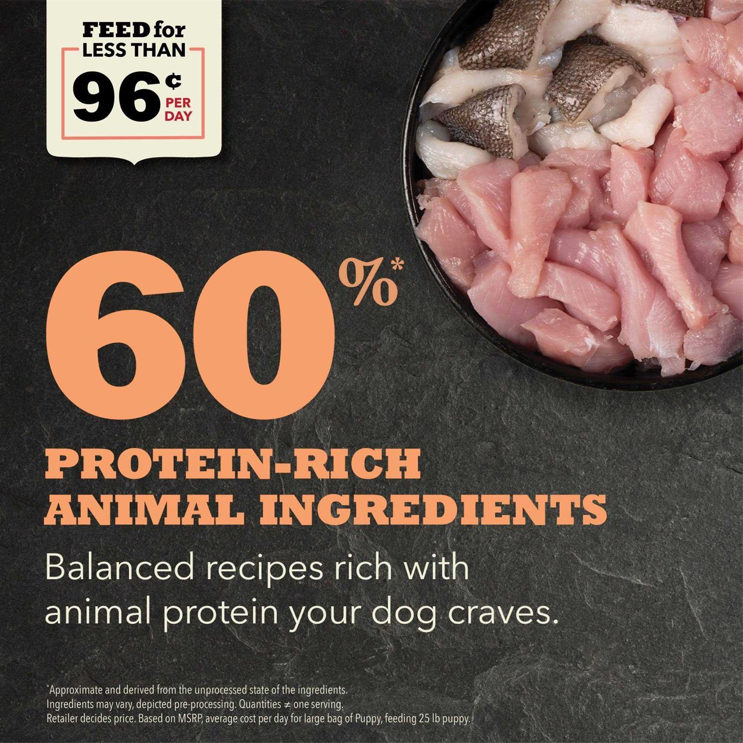 Acana Puppy & Junior Dry Dog Food - Nail Gallerys