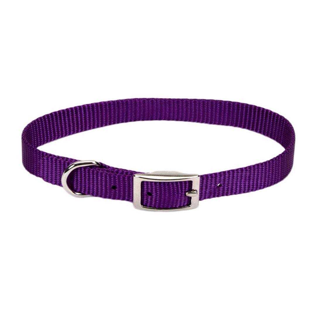 Coastal Nylon Pet Collar - Nail Gallerys