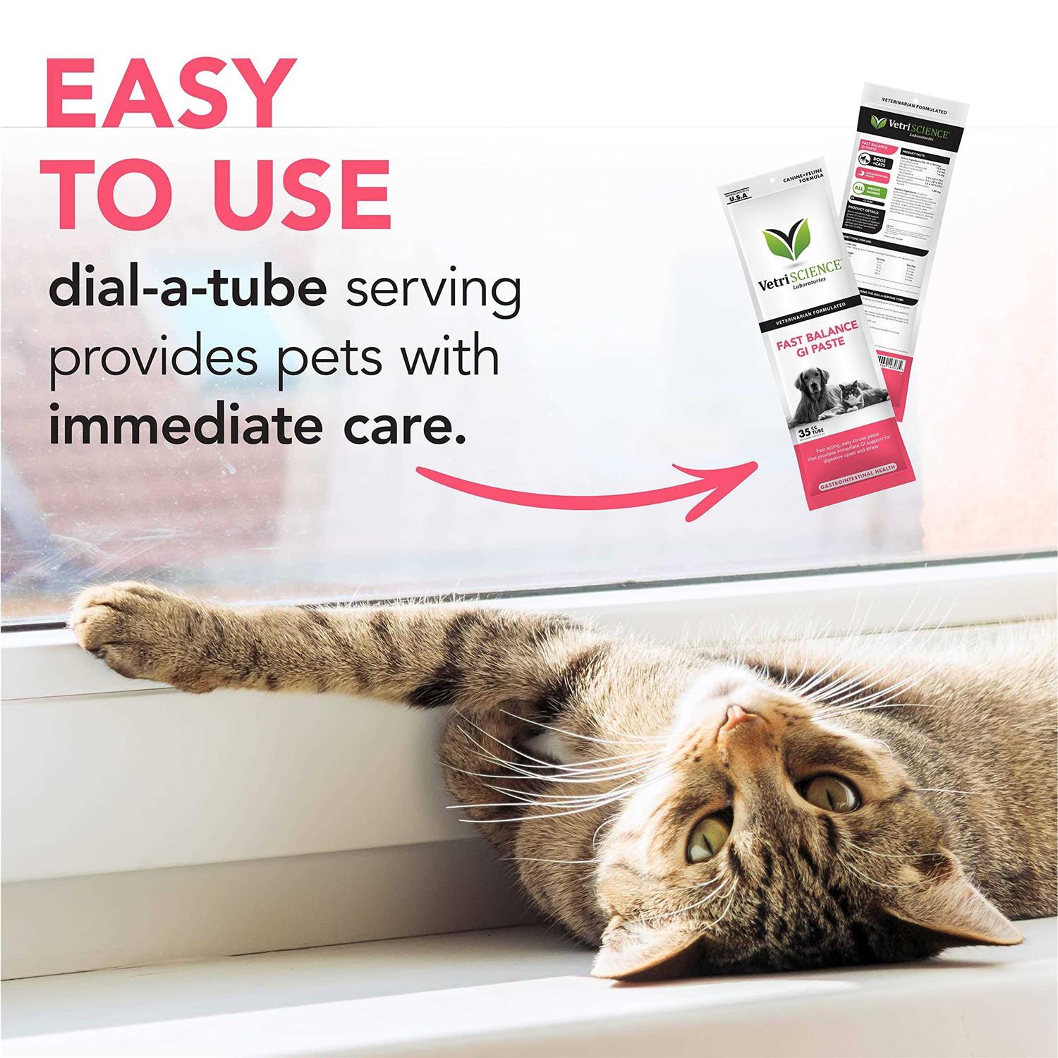 VetriScience Fast Balance G.I. Paste - Nail Gallerys