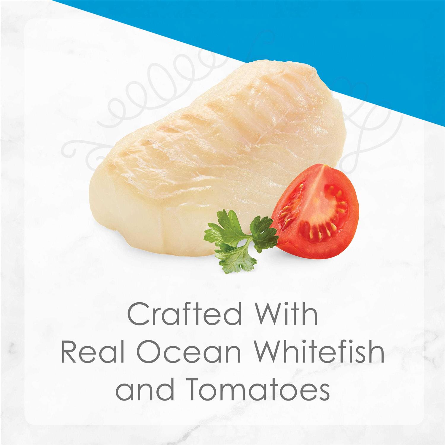 Fancy Feast Petites Ocean Whitefish Entree with Tomato in Gravy Wet Cat Food - Nail Gallerys