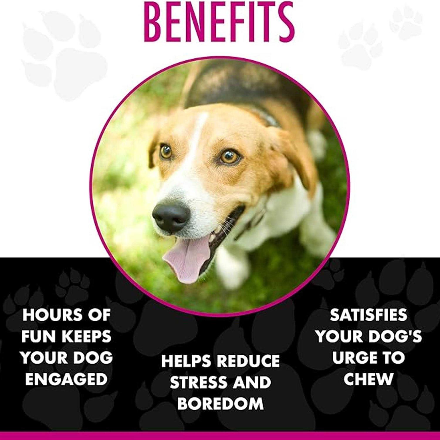 Chase ‘n Chomp Amazing Squeaker Ball Pets - Nail Gallerys