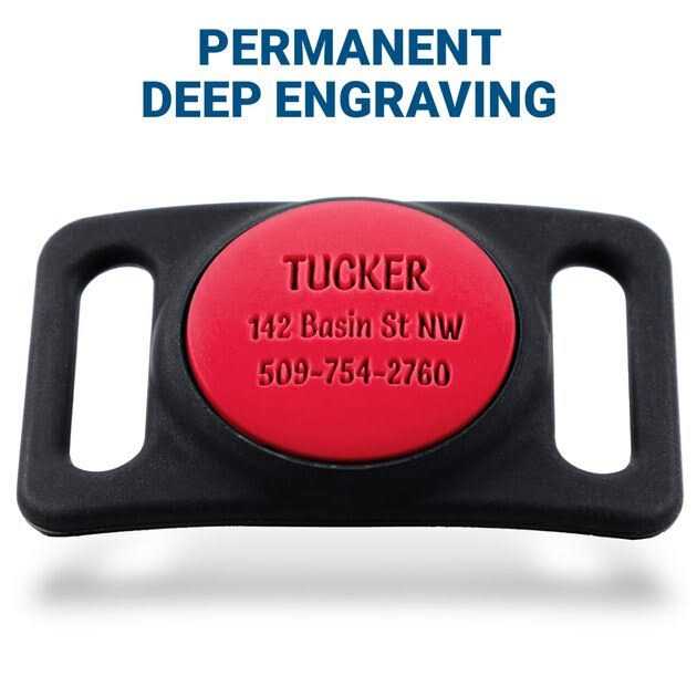 GoTags Engraved AirTag Dog & Cat Collar Holder - Nail Gallerys