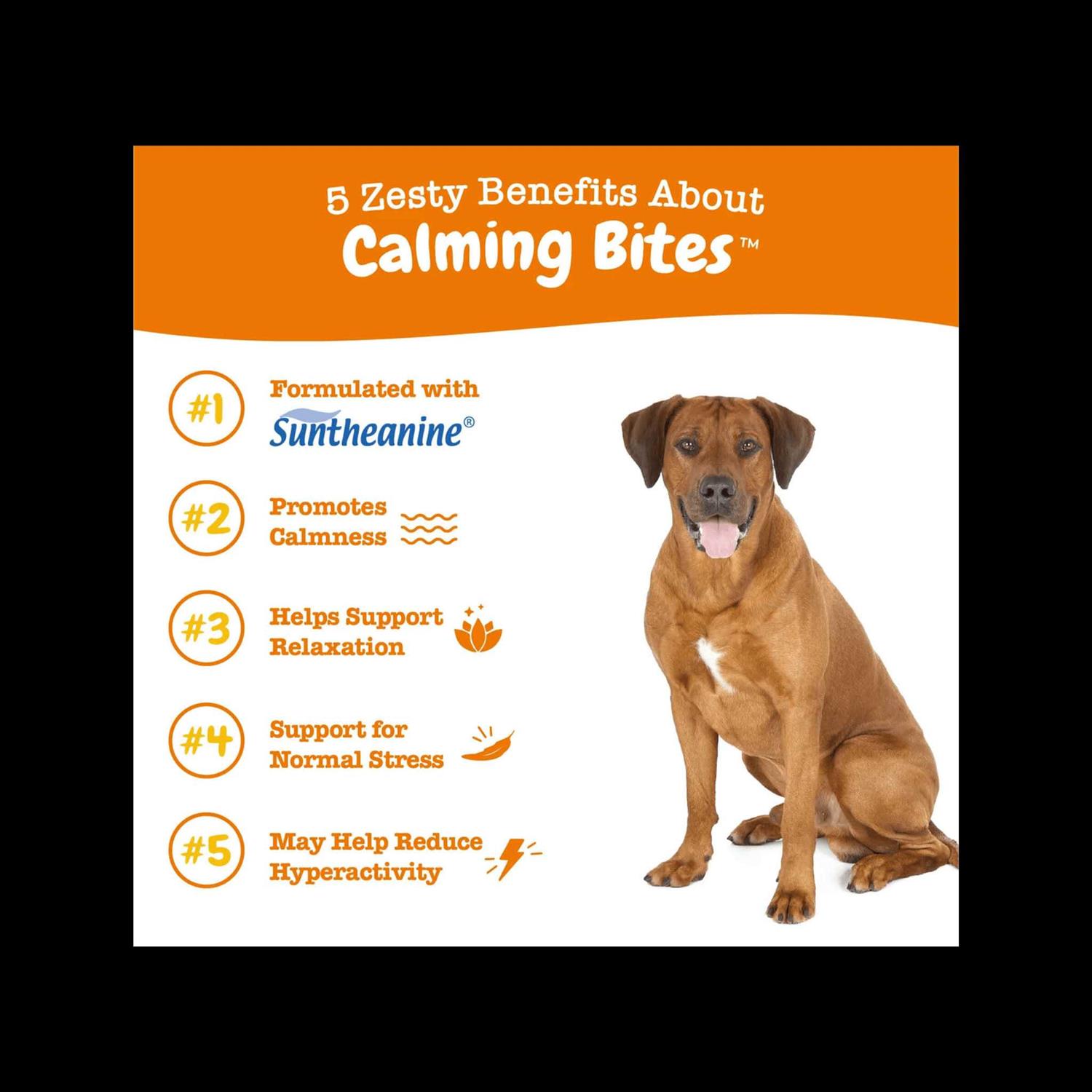 Zesty Paws Calming Bites Soft Chews for Dogs - Nail Gallerys