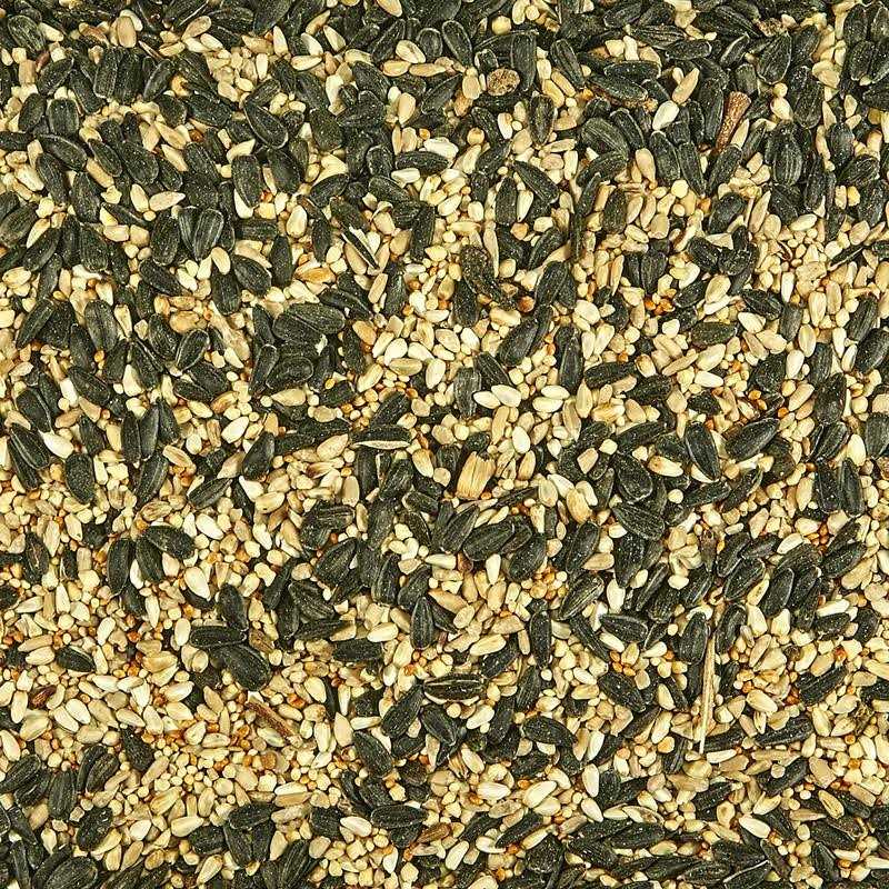 Kaytee Regional Blend Wild Bird Food - Nail Gallerys