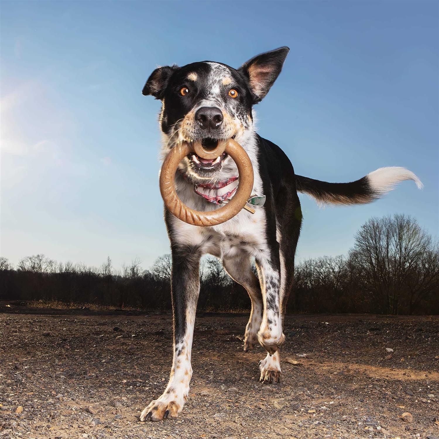 Lumabone Ring Stuffer Durable Chew Toy for Aggressive Chewers - Nail Gallerys