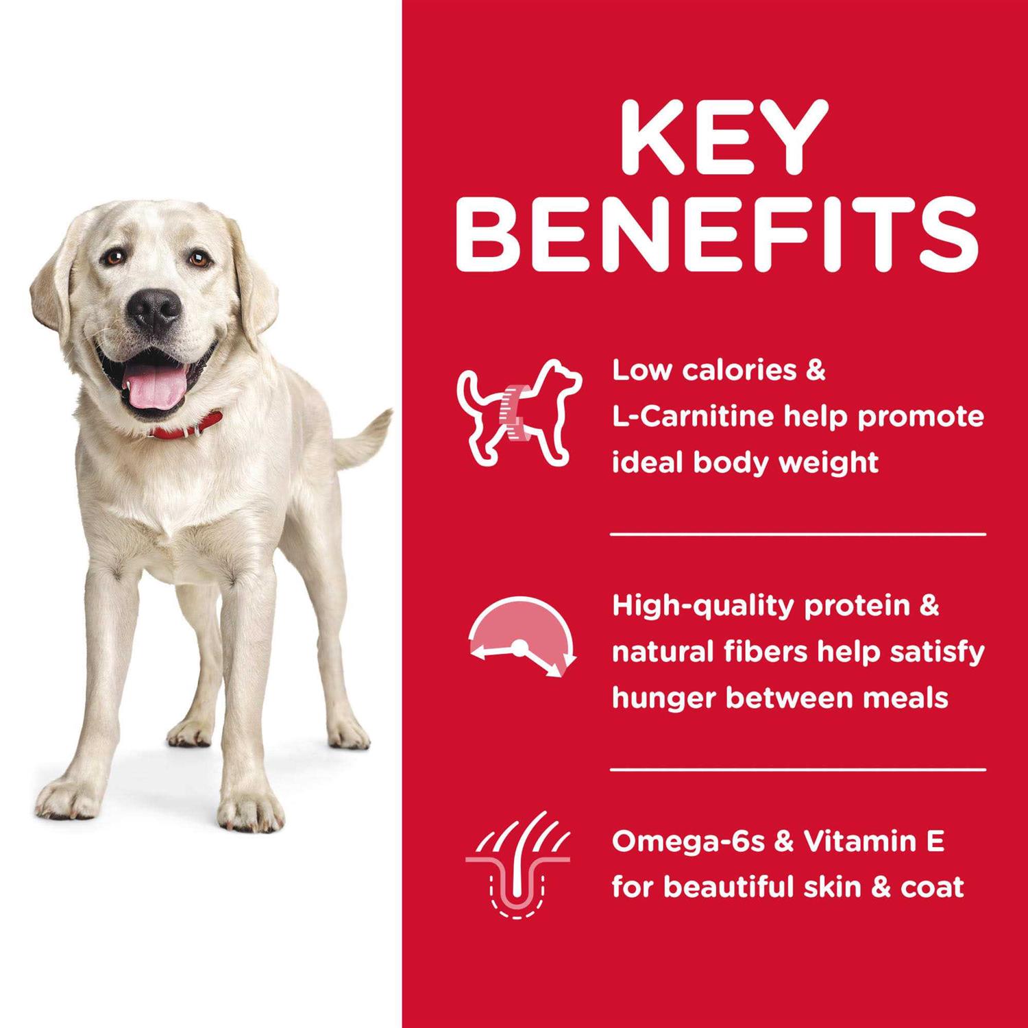 Hill’s Science Diet Adult Large Breed Light Chicken Meal & Barley Dry Dog Food - Nail Gallerys