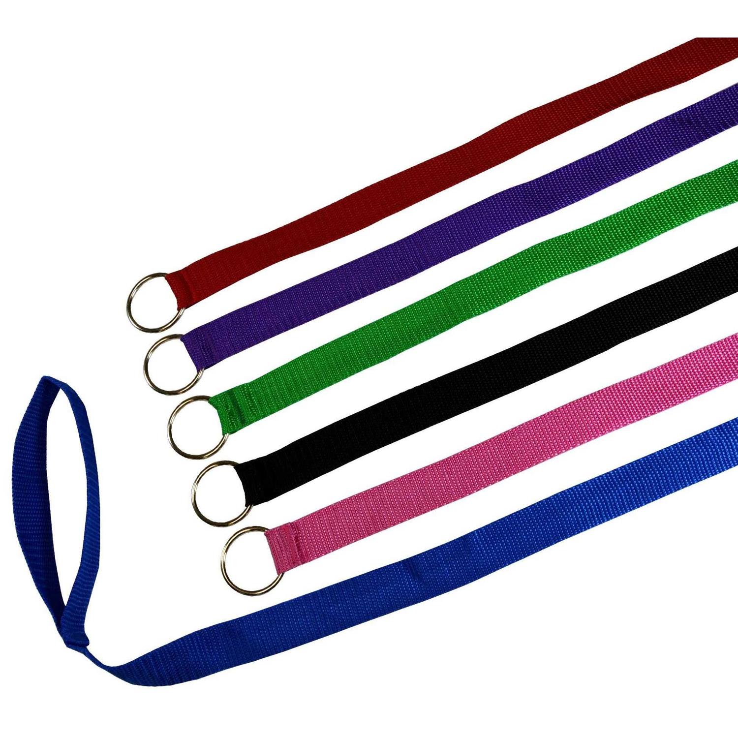 Downtown Pet Supply Dog Slip Lead Dog Leash - Nail Gallerys