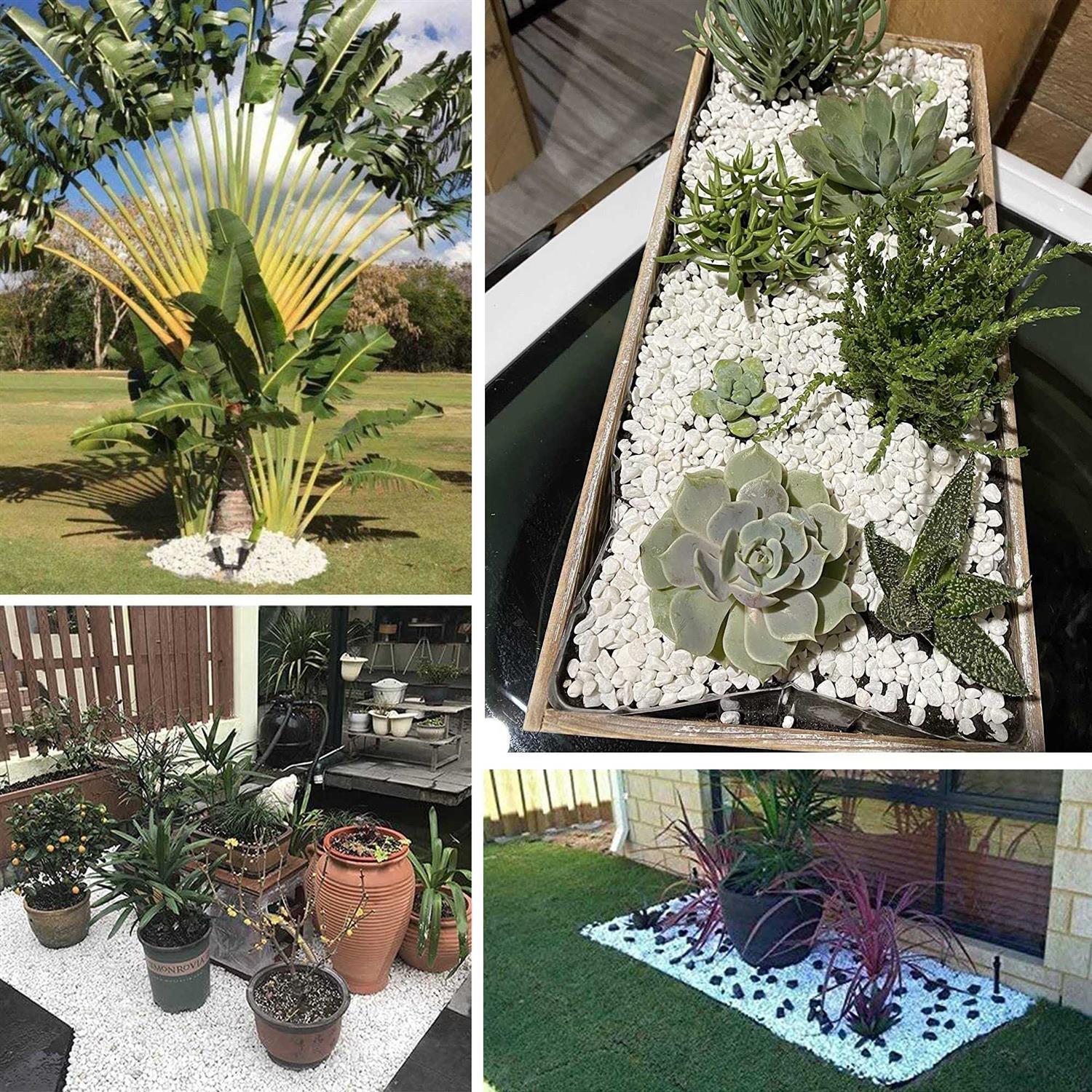 Anothera 18-lb Bulk Bag White Pebbles 1/2 Size Aquarium Gravel Outdoor Garden Paving Plant Decorative Stones - Nail Gallerys