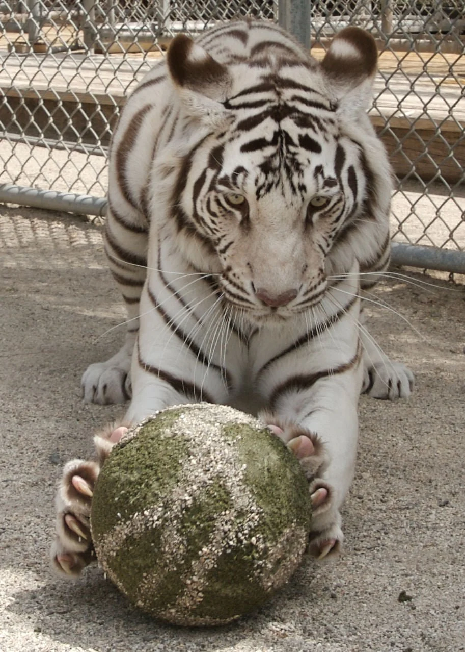 Clawbreakers - Nail Gallerys