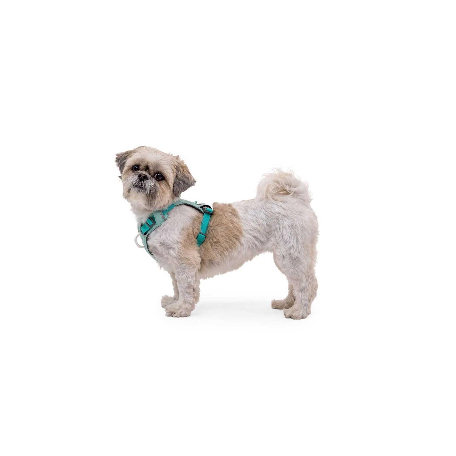 Ruffwear Hi & Light Dog Harness - Nail Gallerys