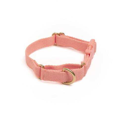 Awoo Marty Martingale Dog Collar - Nail Gallerys