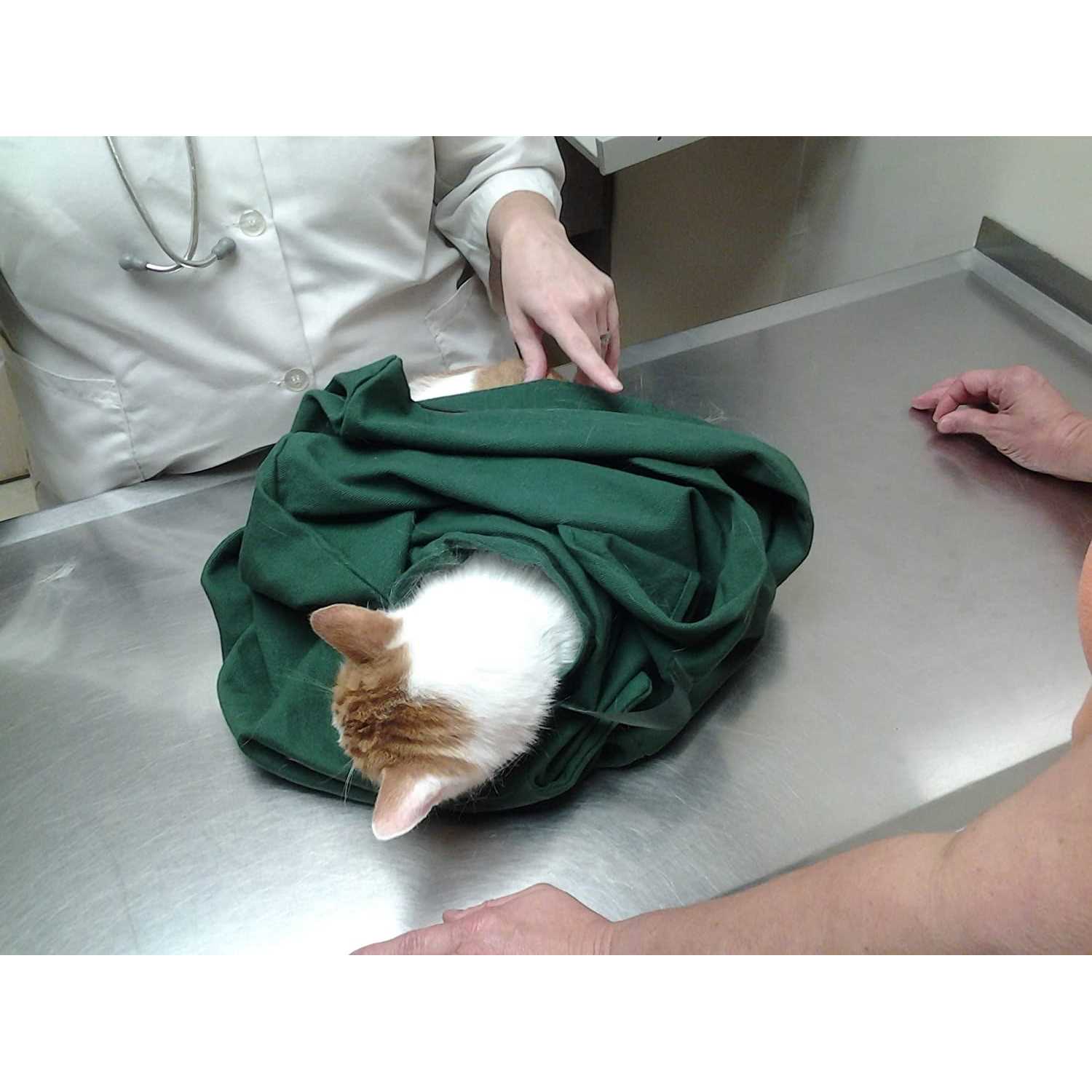 Cat-in-the-Bag Cozy Comfort Carrier - Nail Gallerys