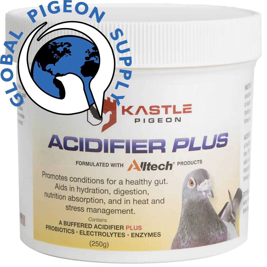 Kastle Acidifier Plus - Nail Gallerys