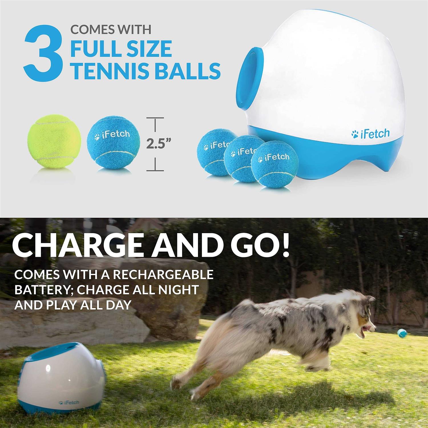 iFetch Too Interactive Ball Launcher Dog Toy - Nail Gallerys